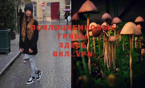дживик Кукмор