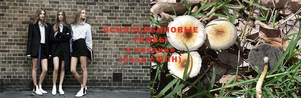 дживик Кукмор