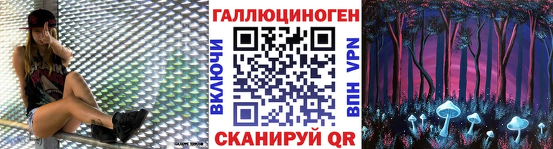 Псилоцибиновые грибы Cubensis магазин Лодейное Поле